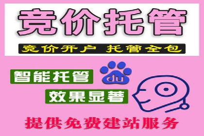 行业专家解析SEM代运营成功案例